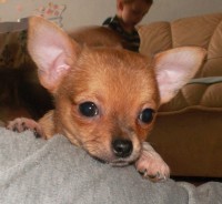 /album/casper/a17-1-2013-50-jpg1/